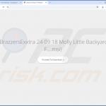 SpeedyLook browser hijacker promotore 2