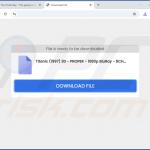 Sito web utilizzato per promuovere il dirottatore del browser SearchNinja 3