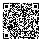 Punisher Miner virus Codice QR