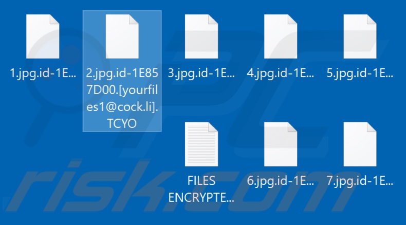 Screenshot dei file crittografati dal ransomware TCYO (.TCYO)