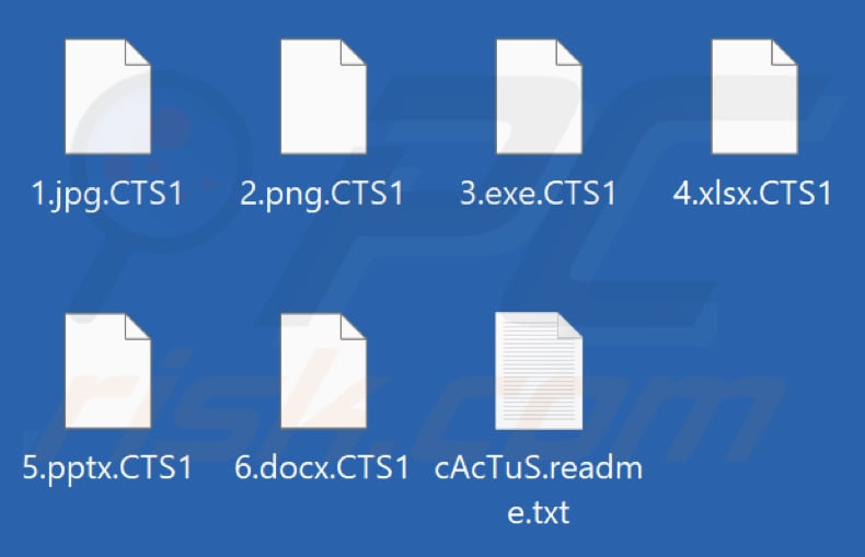 File crittografati da Cactus ransomware (estensione .CTS1)