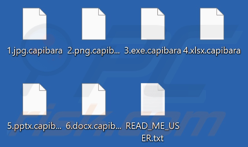 File criptati dal ransomware Capibara (estensione .capibara)