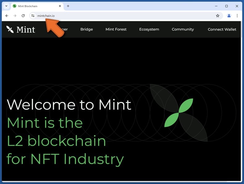 Aspetto del sito web della Zecca reale (mintchain.io)