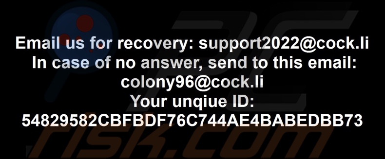 Colony ransomware carta da parati