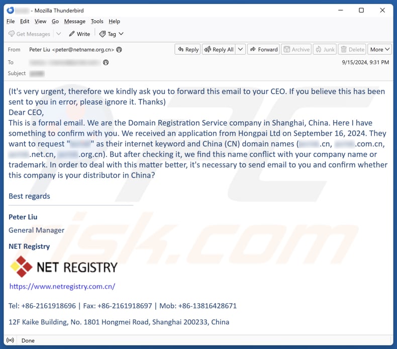 Domain/Company Name Conflict campagna di spam via e-mail