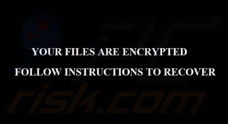 PlayBoy LOCKER ransomware carta da parati