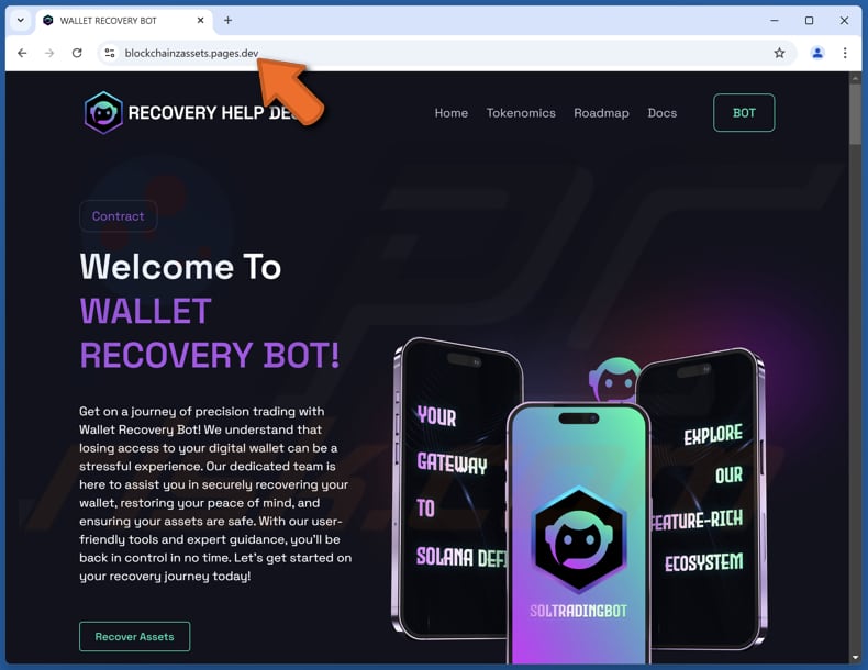 Wallet Recovery Bot truffa