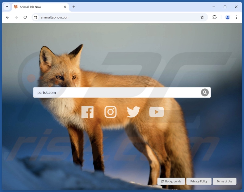 Animal Search Now browser hijacker