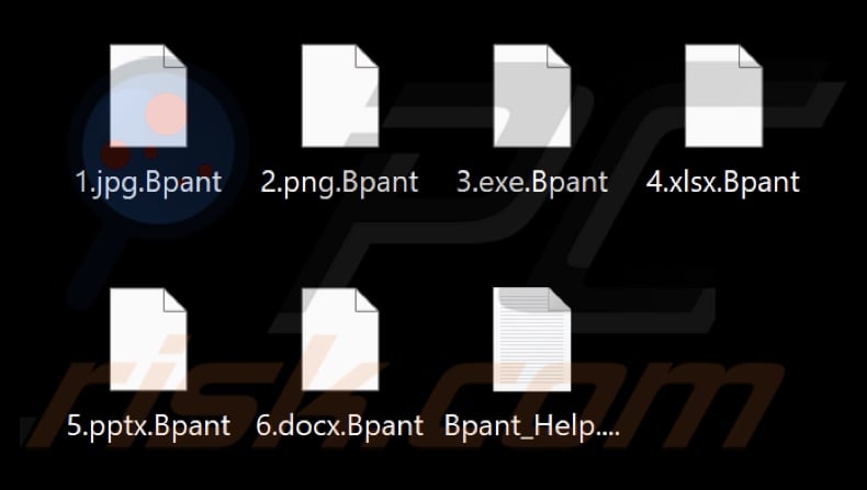 File criptati dal ransomware BlackPanther (estensione .Bpant)