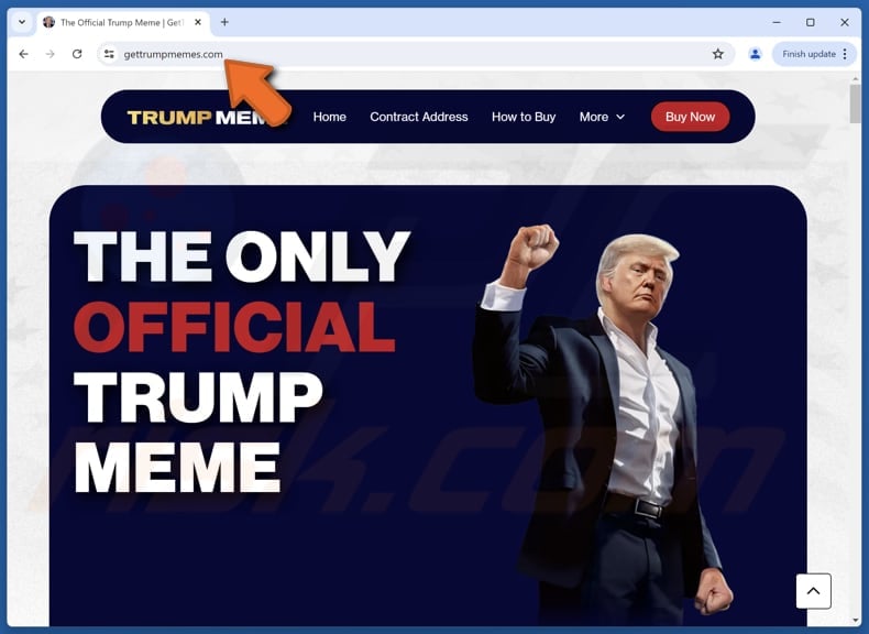 gettrumpmemes.com website aspetto