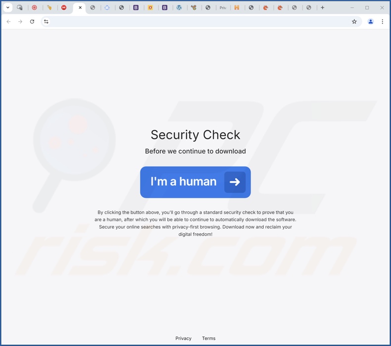 Sito web utilizzato per promuovere StealthBrowse PUA