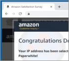 Congratulations Dear Amazon Customer POP-UP Truffa