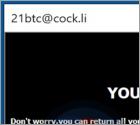 21btc Ransomware