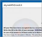 Combo Ransomware