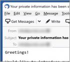 Specialized Hacker Succeeded In Hacking Your Operating System Email truffa