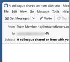 A Team Member Shared An Item Email Truffa