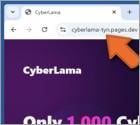 CyberLama Mint Truffa