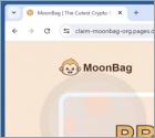 MoonBag Presale Truffa