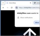 Diddylliker.com Annunci