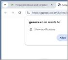 Geeesx.co.in Annunci