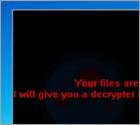 Yakes Ransomware