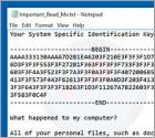 InfiniteTear Ransomware