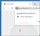 Goodbase.biz Ads