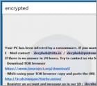 Eking Ransomware