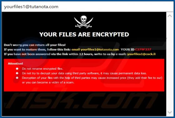 FLYU Ransomware