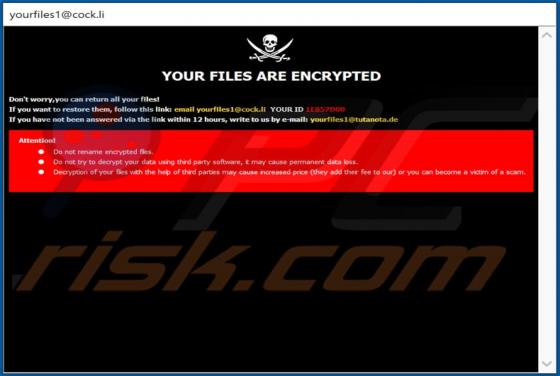 YOUF Ransomware