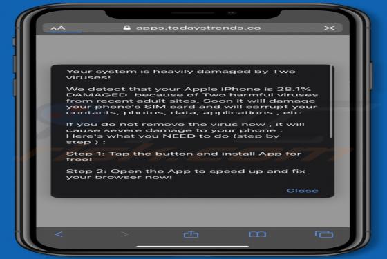 Your System Is Heavily Damaged By Two Viruses! POP-UP Truffa (Mac)