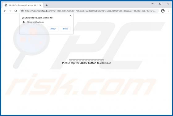 Yourwowfeed.com Annunci