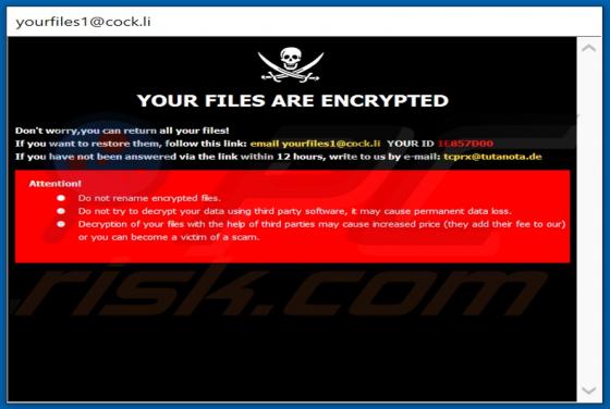 TCYO Ransomware