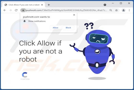 Pushnott.com Annunci