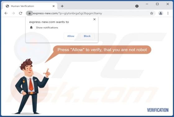 Express-new.com Annunci