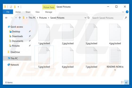 LockerGoga Ransomware