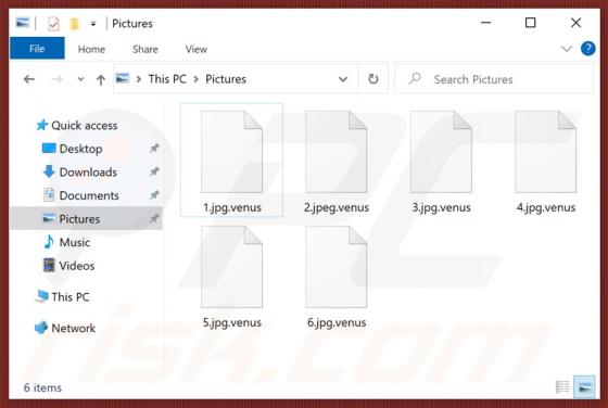 Venus Ransomware