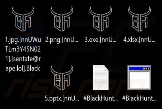 Black Hunt Ransomware
