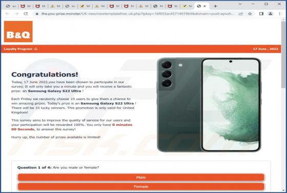 Loyalty Program POP-UP Truffa