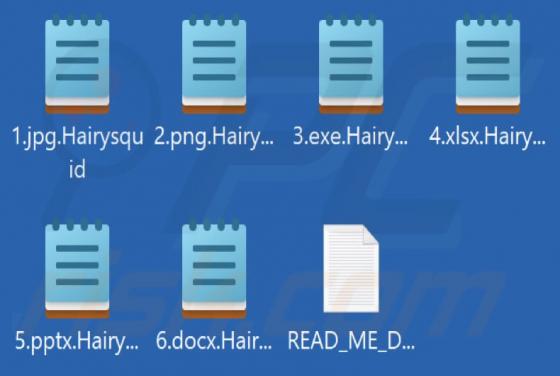 Hairysquid Ransomware