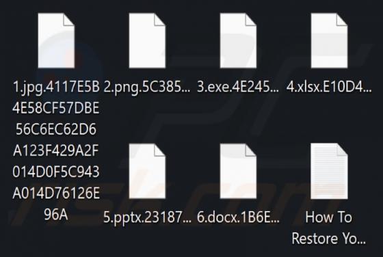 RTM Locker Ransomware