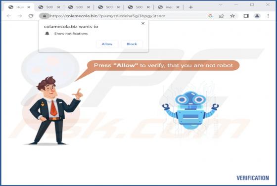 Colamecola.biz Annunci