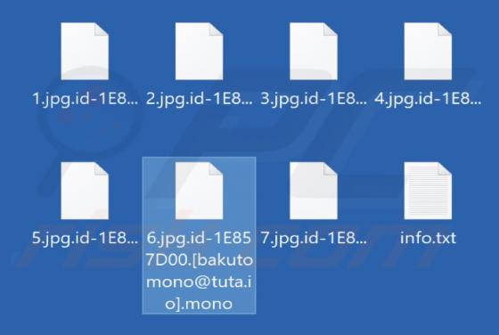 Mono Ransomware