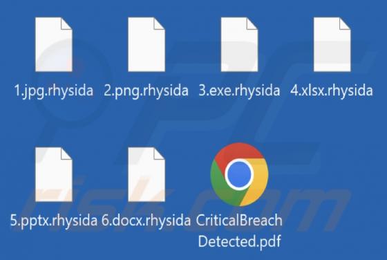 Rhysida Ransomware