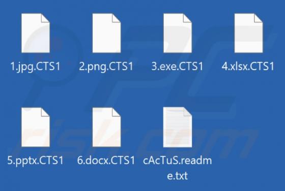 Cactus Ransomware