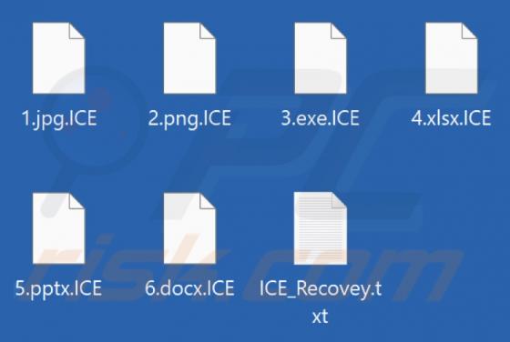 BLACK ICE Ransomware