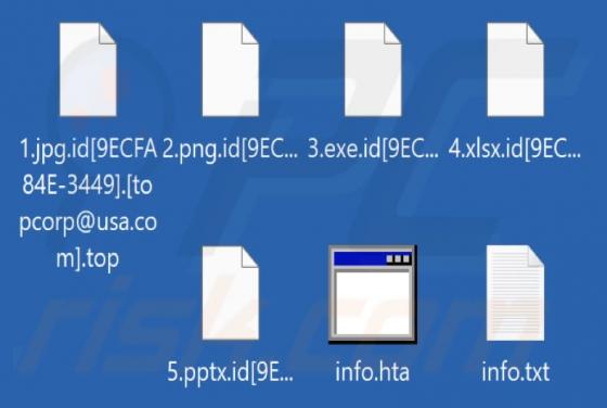 Top Ransomware