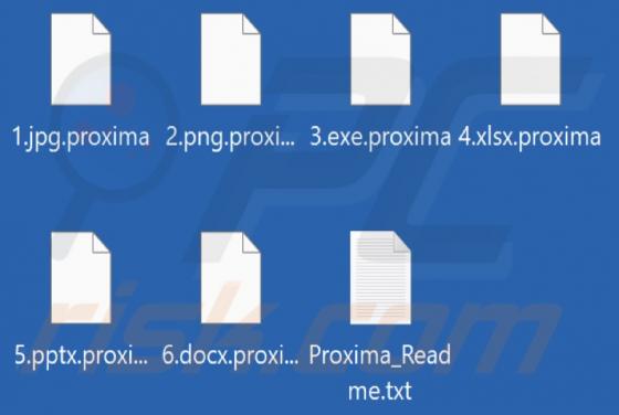 Proxima Ransomware