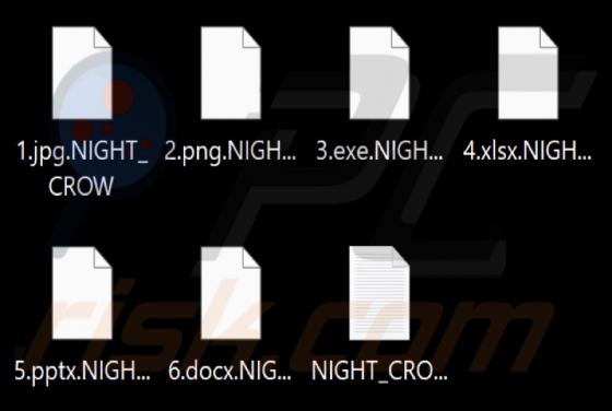 NIGHT CROW Ransomware