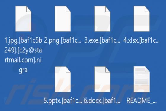 Nigra Ransomware